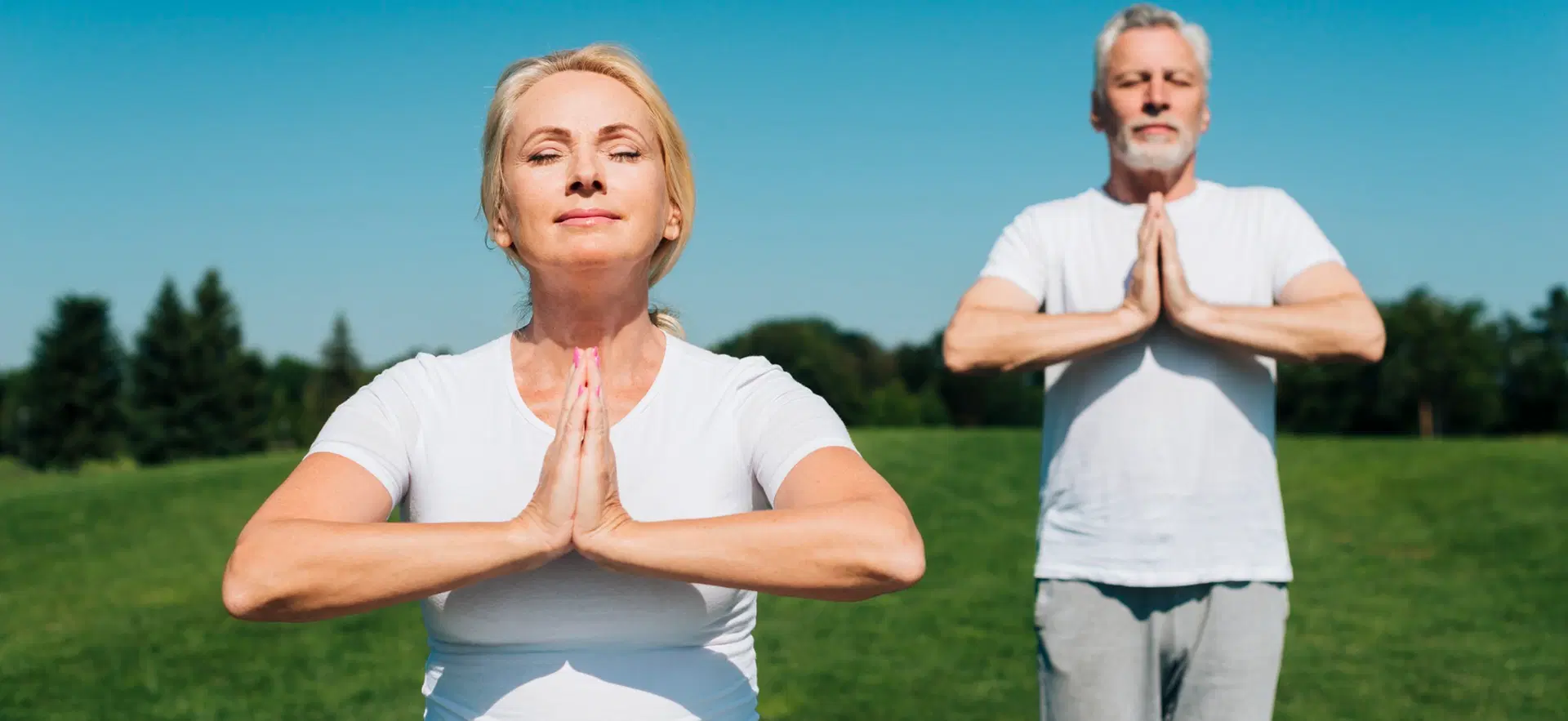 Wellness & Longevity